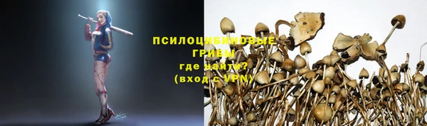 МДПВ Липки