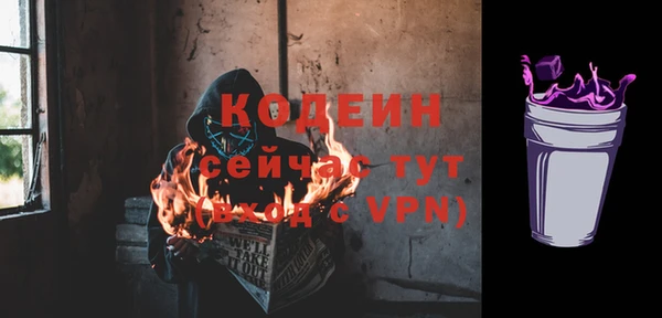 МДПВ Липки