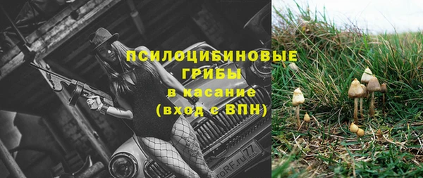 бошки Магас