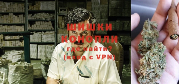 МДПВ Липки