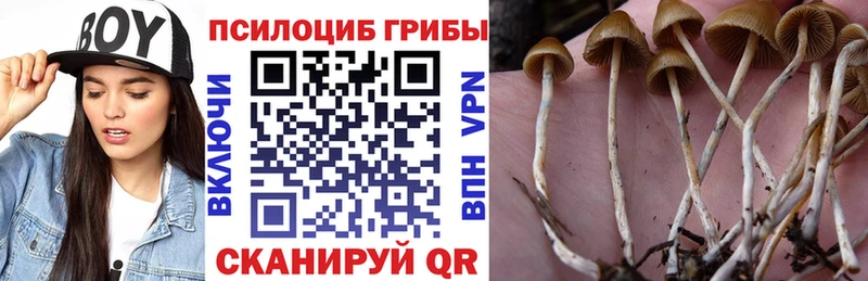 наркота  Льгов  Галлюциногенные грибы Magic Shrooms 